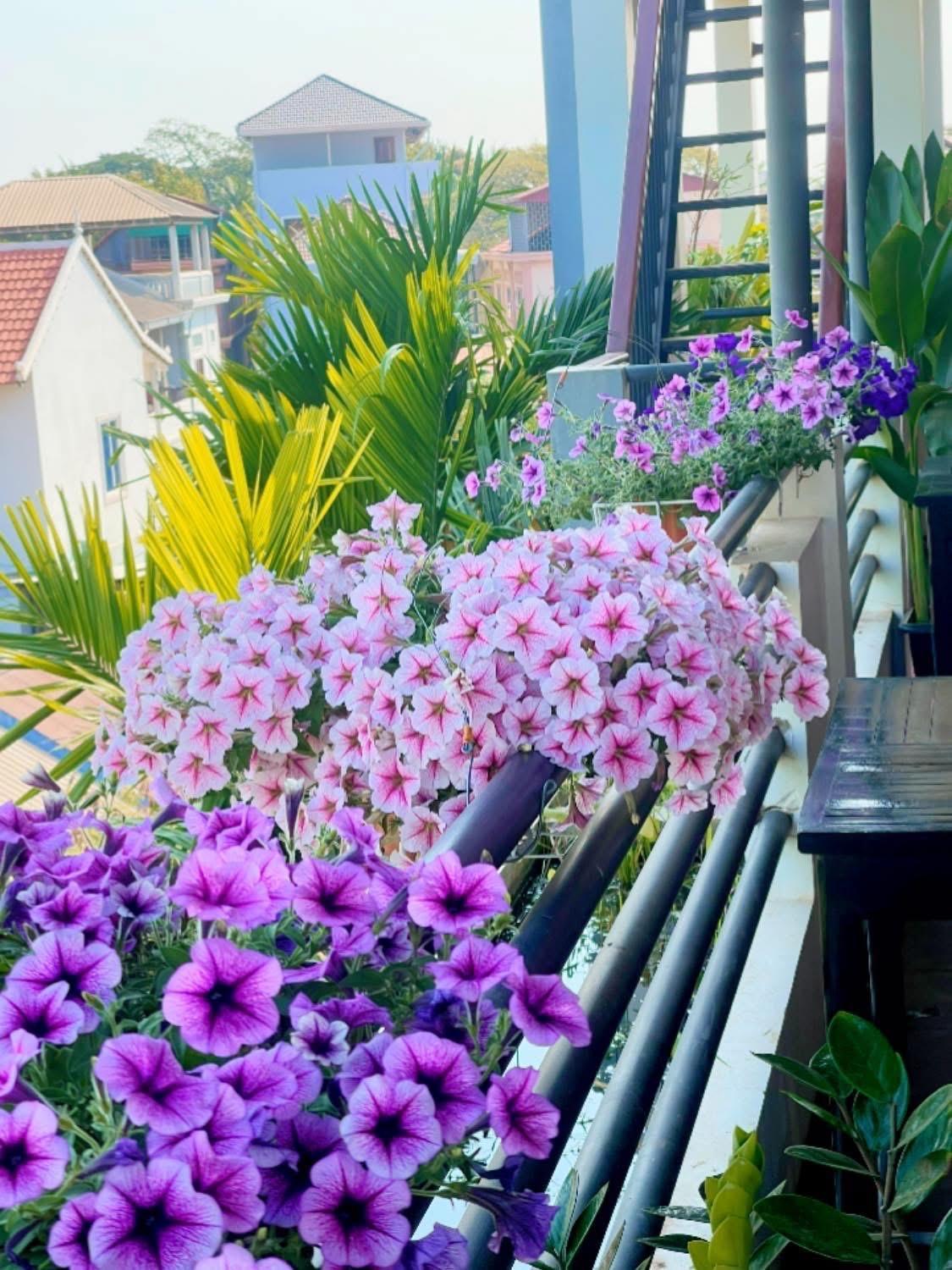 Sunset View Guest House Siem Reap Luaran gambar